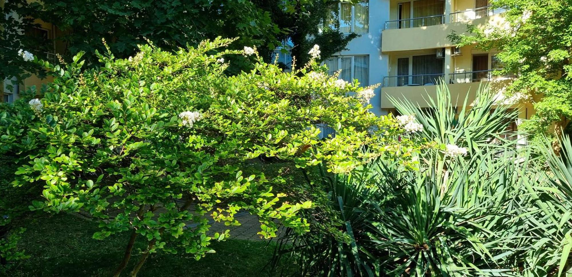 Niko Apartments Slantchev Briag Extérieur photo