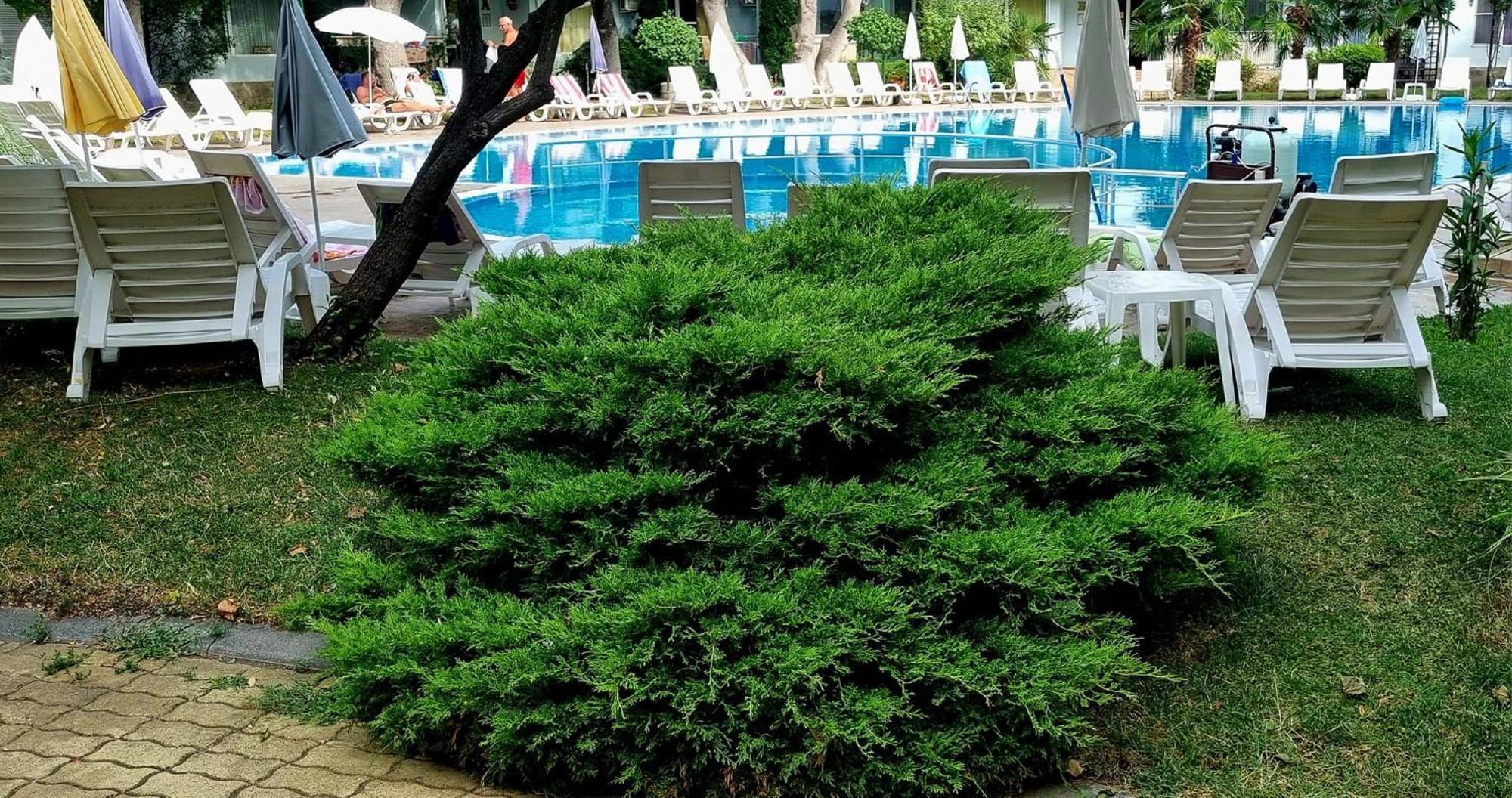 Niko Apartments Slantchev Briag Extérieur photo